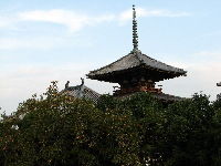 ̂镗i - `