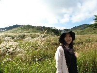 LȂ쌴ł