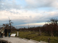 tBRn