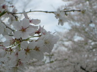 Be
