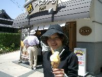 h`F̔̉WF[gBi