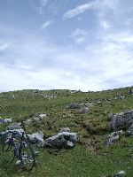 JXgƎ]ԂQ